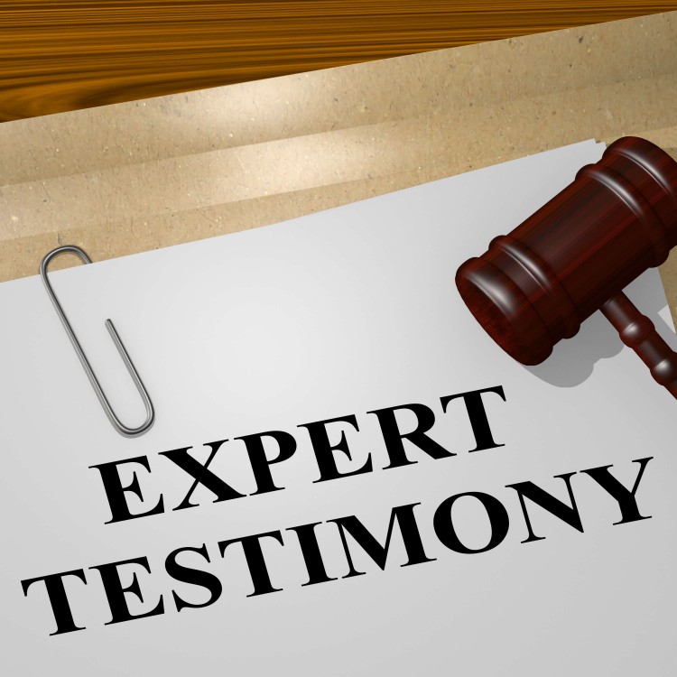 expert testimony meaning