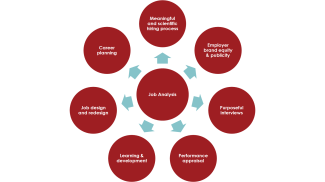 Facets of a job analysis